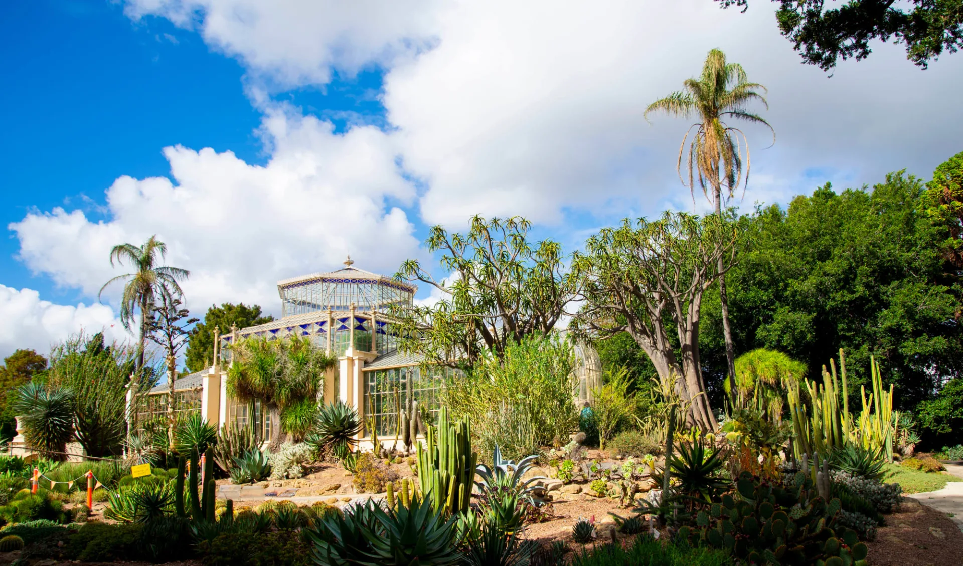 palmhouse-botanicgardens-adelaide-southaustralia-australia-77111